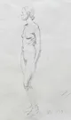 Study in pencil 2